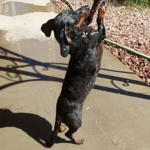 Meet your Posher, Kaye